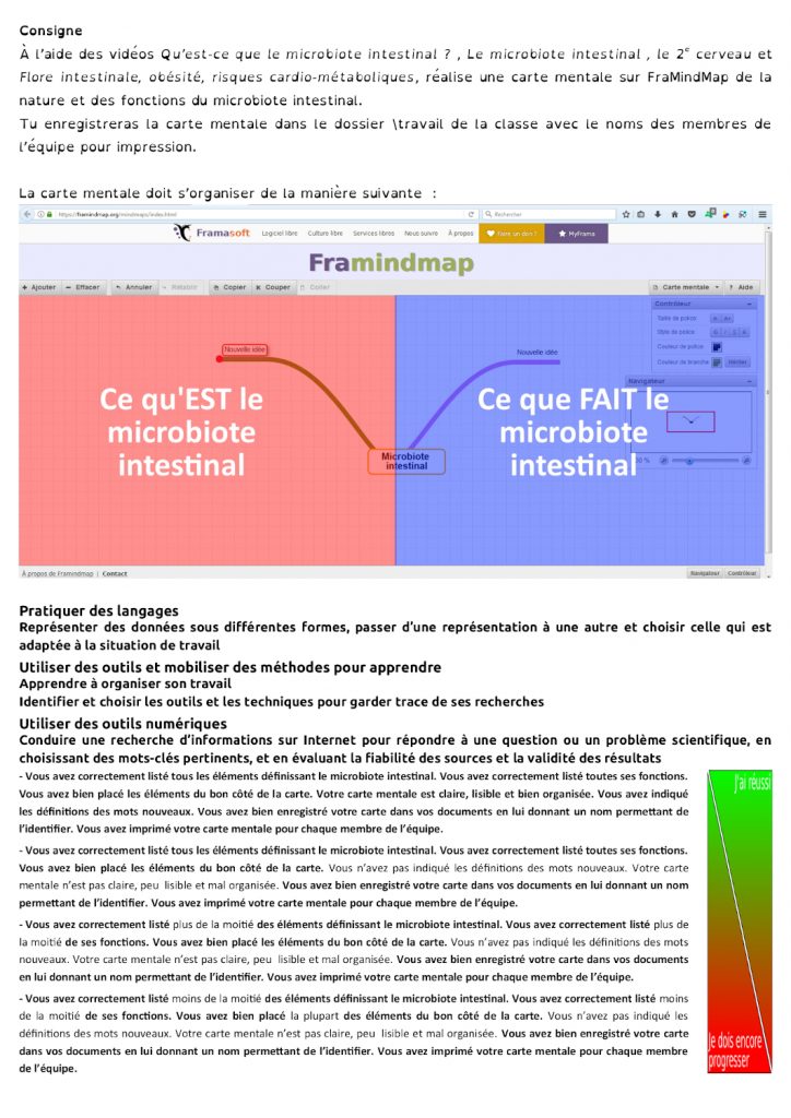 Consignes pour la création d'une carte mentale sur le microbiote intestinal